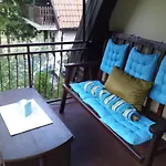 Tammaris * 维索科