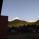 Tammaris * Visoko