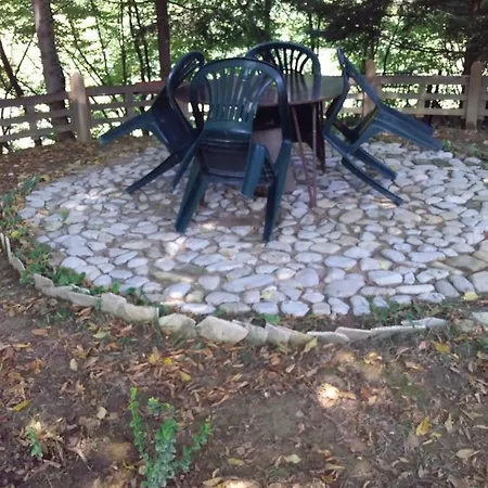 Tammaris * Visoko