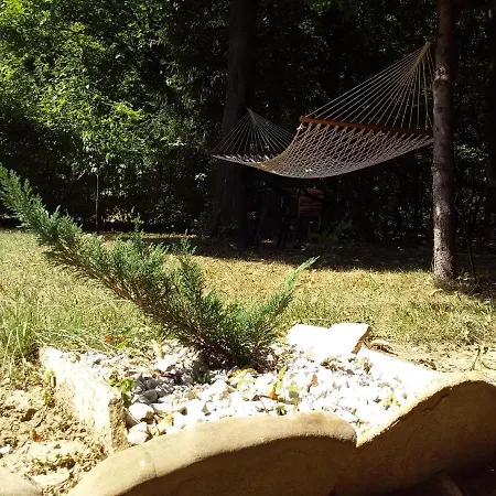 Tammaris ויסוקו