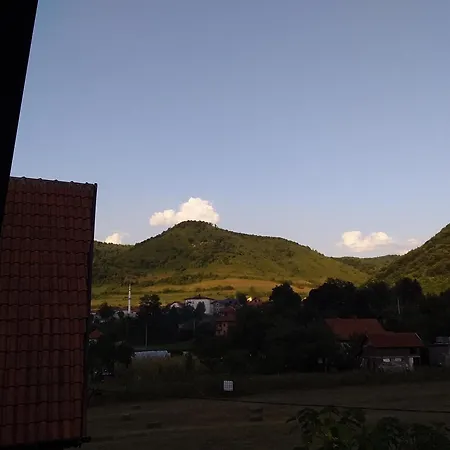 Tamaris * Visoko