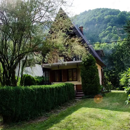 Tammaris * Visoko