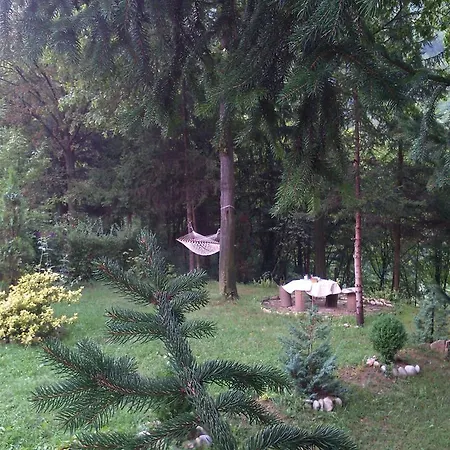 Tammaris * Visoko
