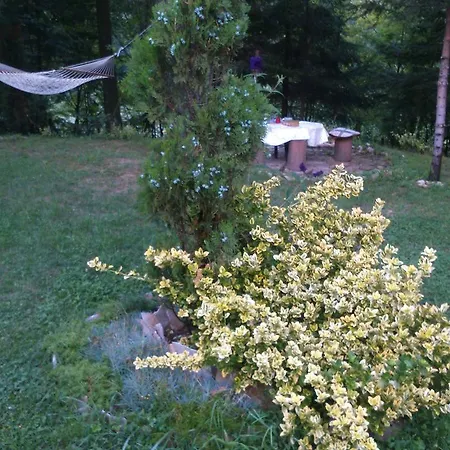 Holiday home Tammaris *